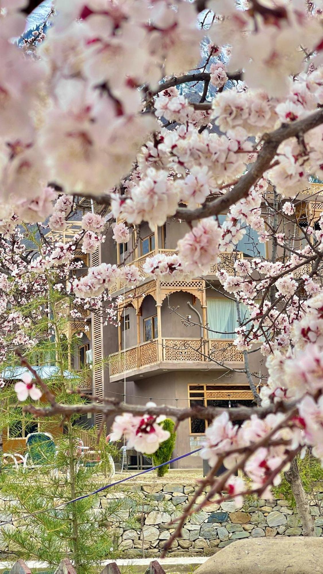 Dumani Nagar Hotel & Resort Karimabad  المظهر الخارجي الصورة