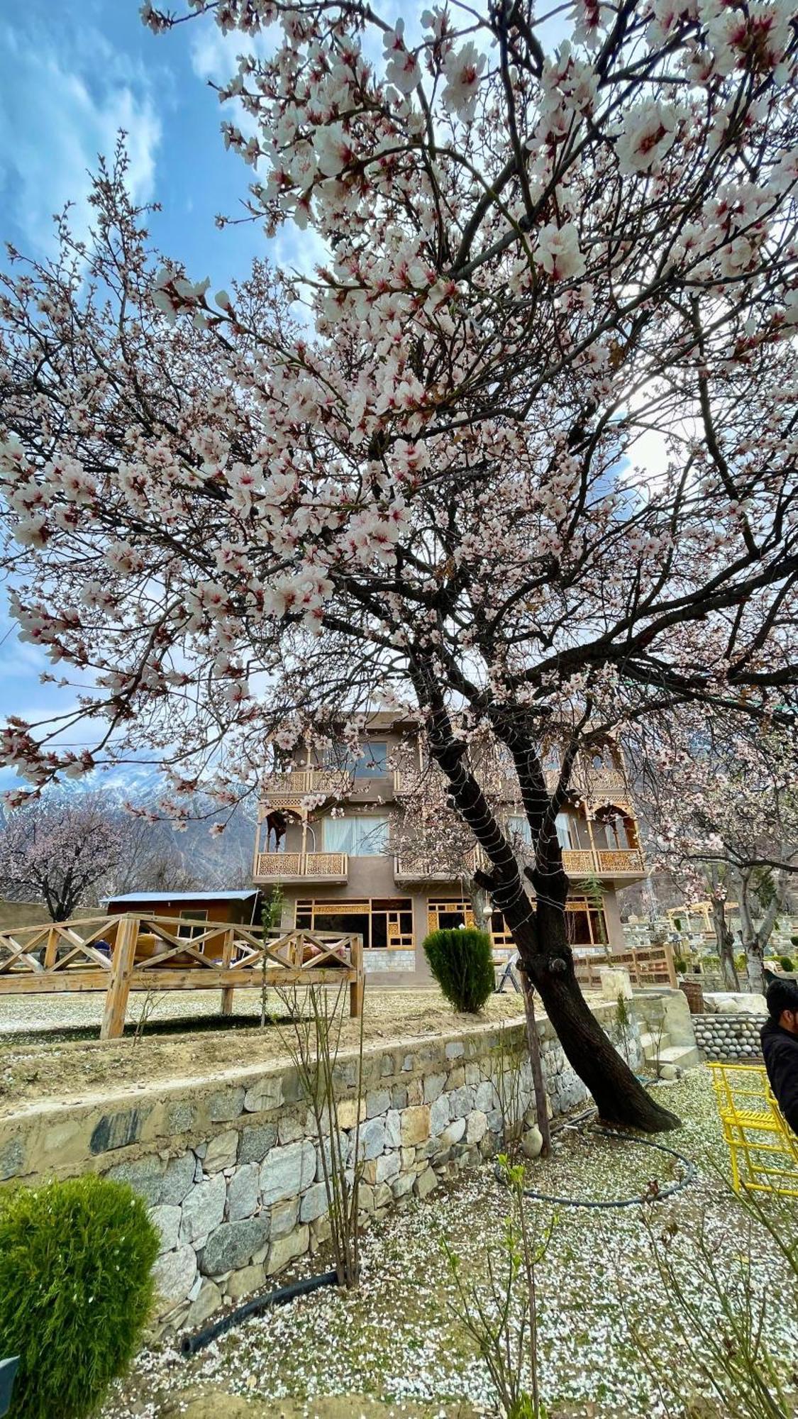 Dumani Nagar Hotel & Resort Karimabad  المظهر الخارجي الصورة